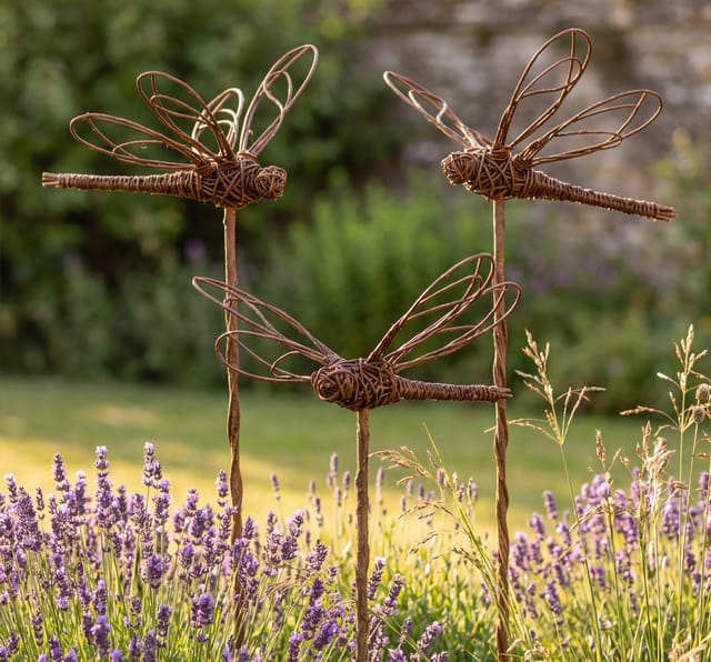 Willow dragonflies on stakes above lavender in a cottage garden