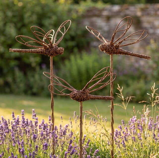 Willow dragonflies on stakes above lavender in a cottage garden